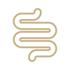 A HAPPY HEALTHY GUT
